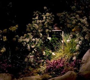 Lighted Garden